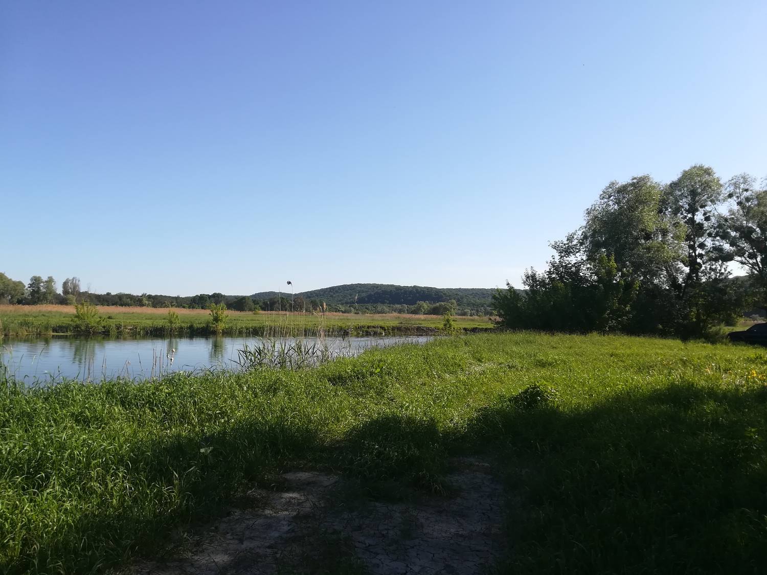 A calm summer river edged with green meadow and distant wooded hills