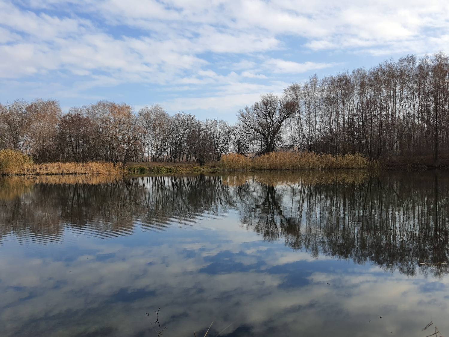 Bare autumn trees mirrored in the still surface of a lake